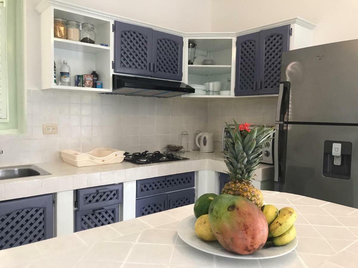 Little Paradise In Middle Of Beautiful Beaches! Las Terrenas Eksteriør bilde